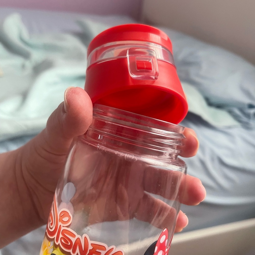 Souvenir water bottle with all Disney characters design 2020 edition - Picture 4 of 5